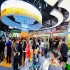 2026秋糖“黄金展位”定义：主通道、入口、竞品旁=流量密码